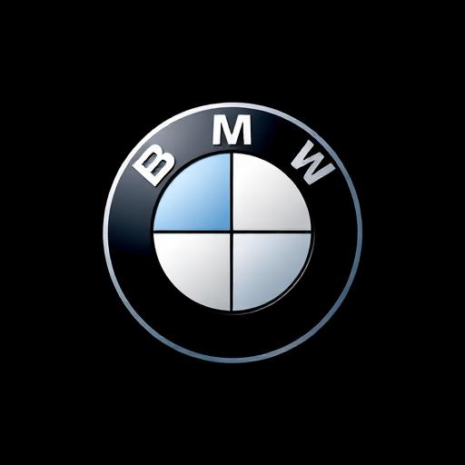 BMW logo